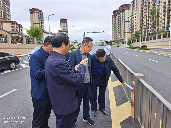 10月22日，洪董陪同汪凱書記一行到新安路調(diào)研.jpg